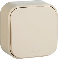 Выключатель кнопочный накладной Legrand Quteo 1-кл. слоновая кость картинка